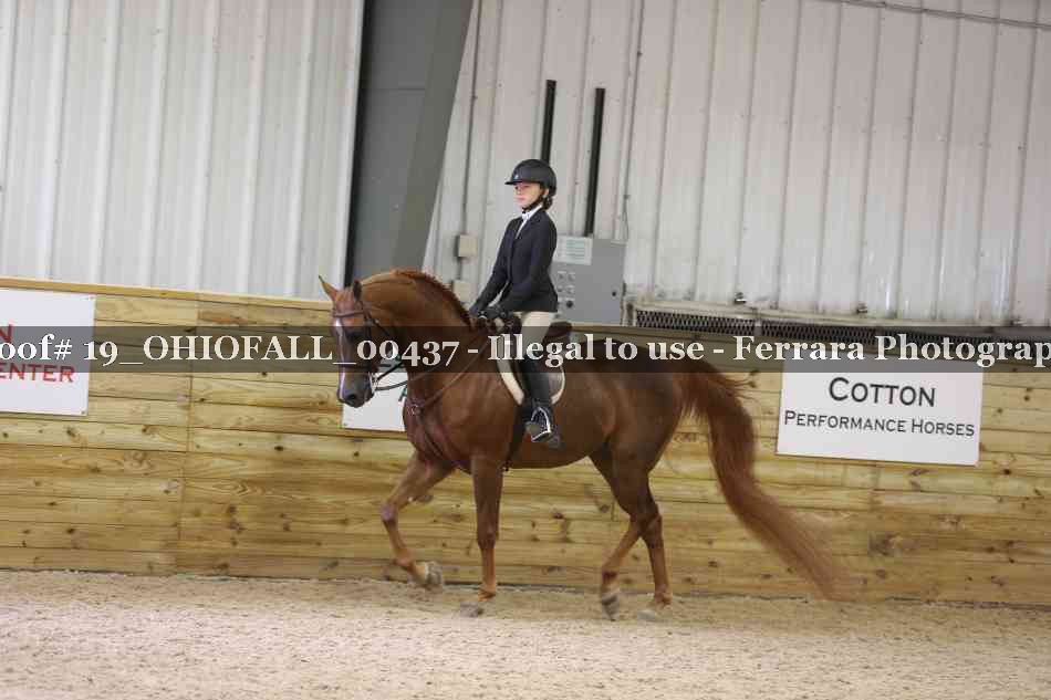 Proof 19_OHIOFALL_00437