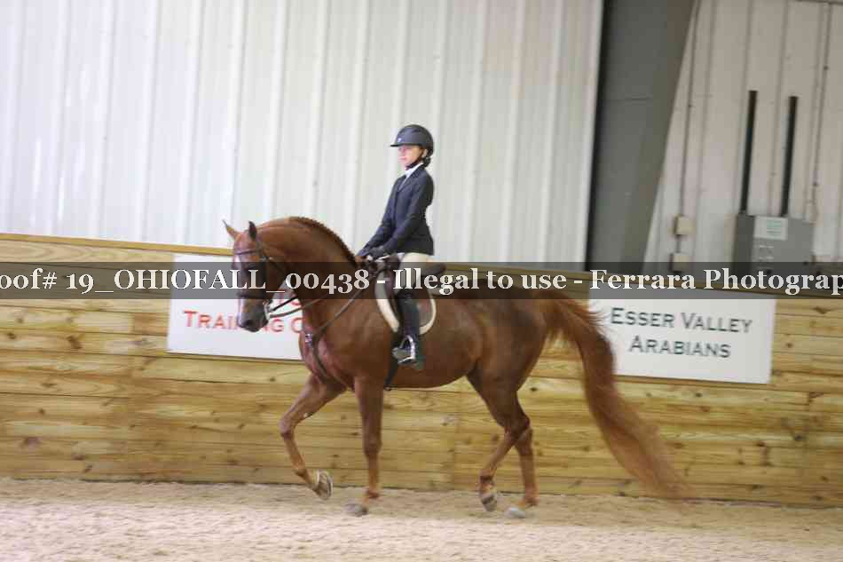 Proof 19_OHIOFALL_00438