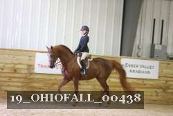 19_OHIOFALL_00438 proof