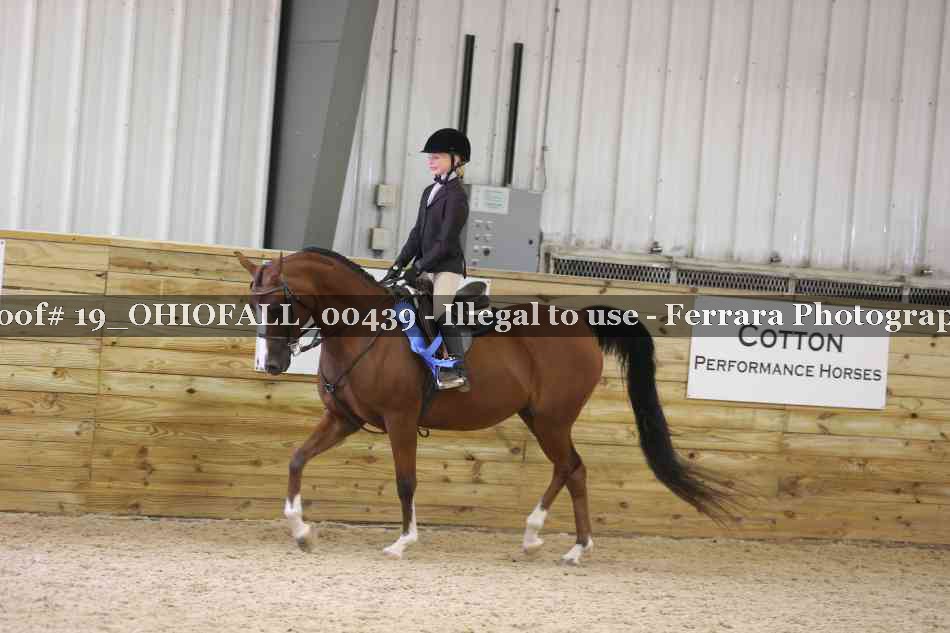 Proof 19_OHIOFALL_00439