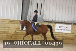 19_OHIOFALL_00439 proof