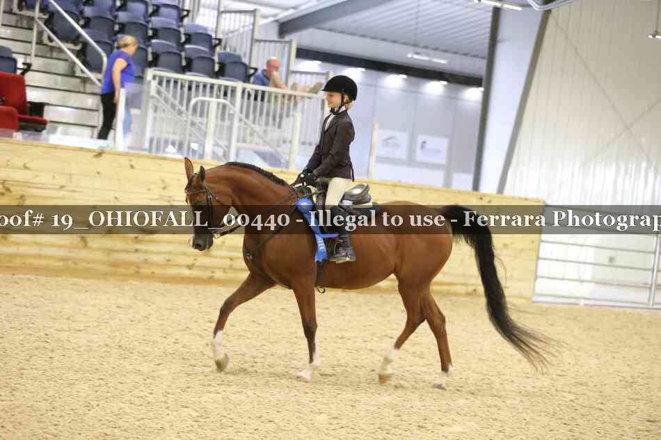 Proof 19_OHIOFALL_00440