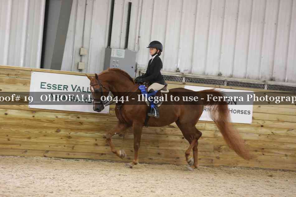 Proof 19_OHIOFALL_00441