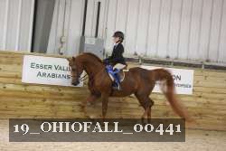 19_OHIOFALL_00441 proof