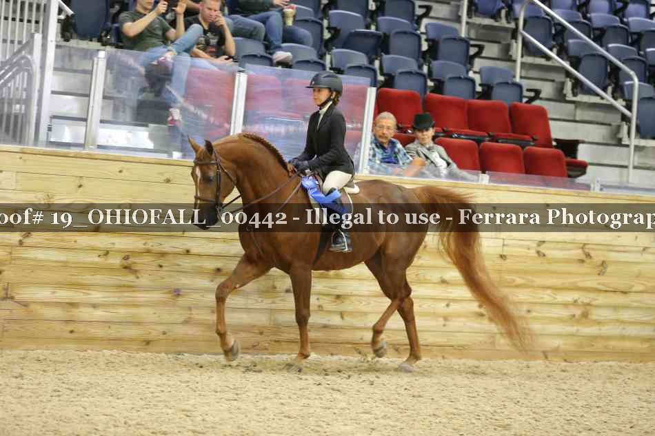 Proof 19_OHIOFALL_00442