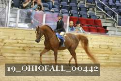 19_OHIOFALL_00442 proof