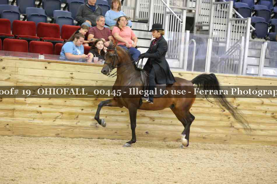 Proof 19_OHIOFALL_00445