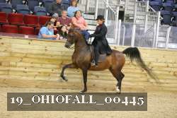 19_OHIOFALL_00445 proof