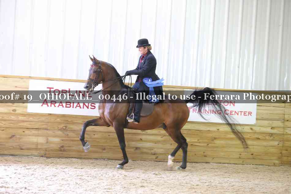 Proof 19_OHIOFALL_00446