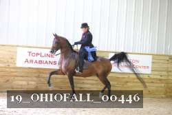 19_OHIOFALL_00446 proof