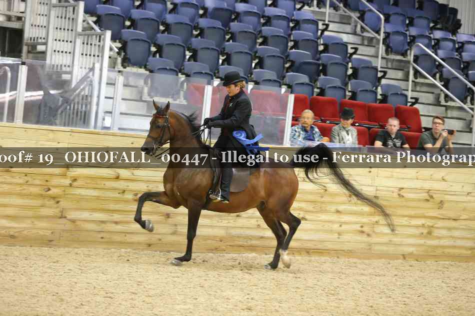 Proof 19_OHIOFALL_00447