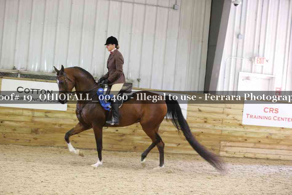 Proof 19_OHIOFALL_00460