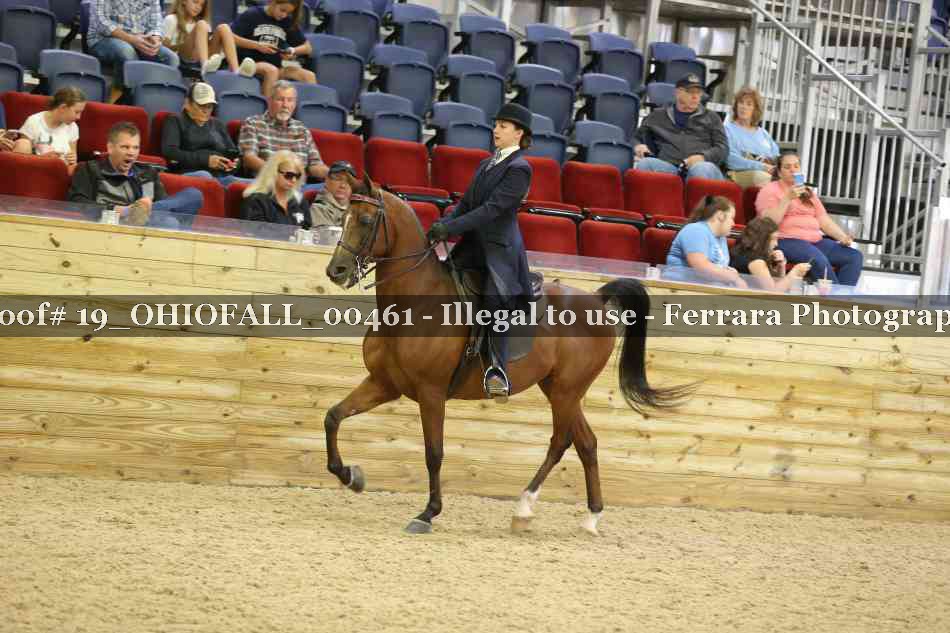 Proof 19_OHIOFALL_00461
