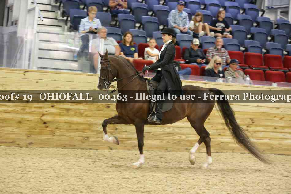 Proof 19_OHIOFALL_00463