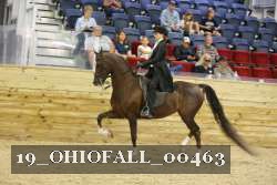 19_OHIOFALL_00463 proof