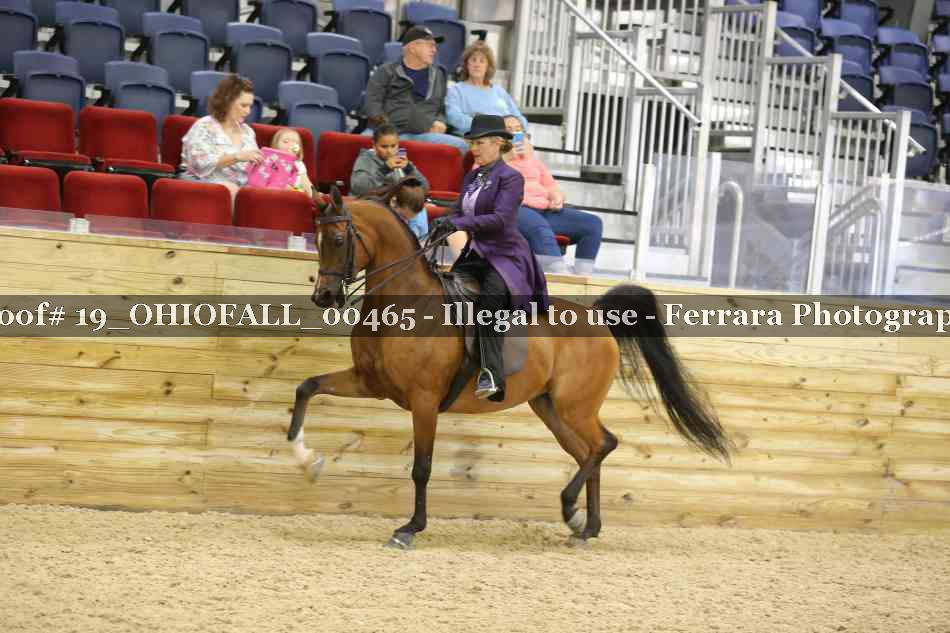 Proof 19_OHIOFALL_00465