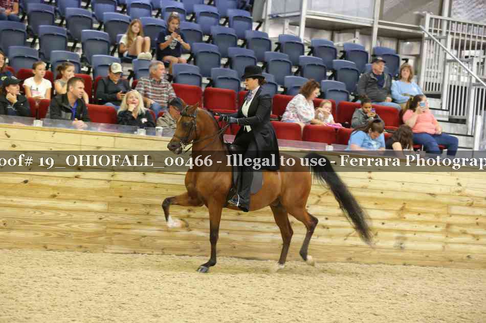Proof 19_OHIOFALL_00466