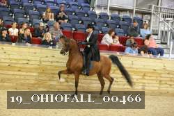 19_OHIOFALL_00466 proof