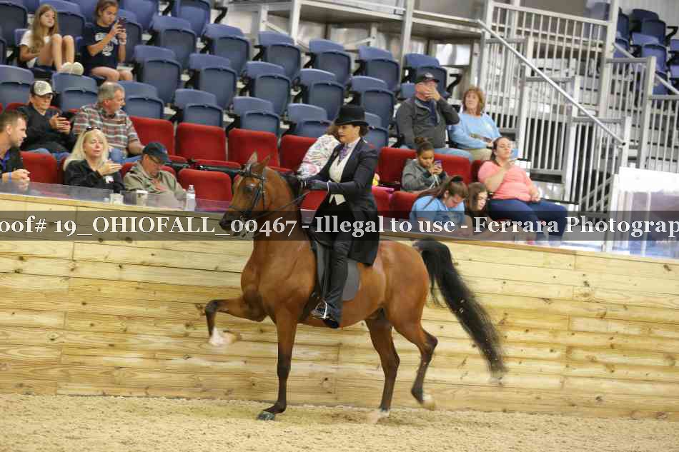 Proof 19_OHIOFALL_00467