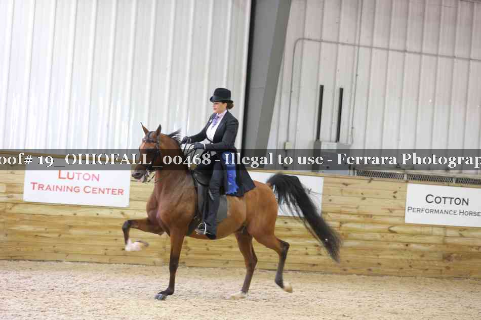Proof 19_OHIOFALL_00468