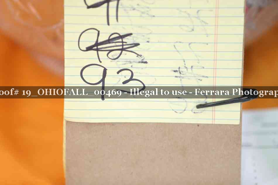 Proof 19_OHIOFALL_00469