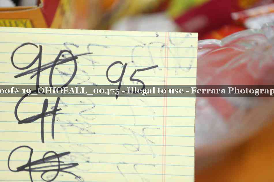 Proof 19_OHIOFALL_00475