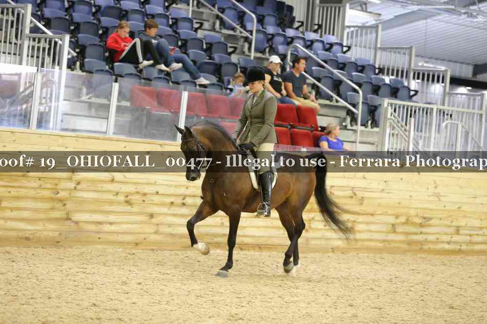 Proof 19_OHIOFALL_00477