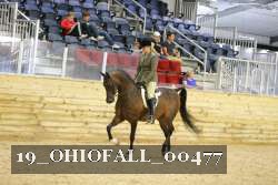 19_OHIOFALL_00477 proof