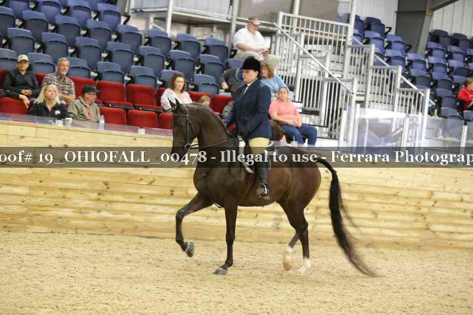 Proof 19_OHIOFALL_00478