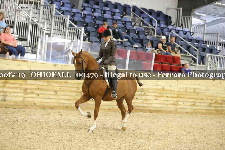 Proof 19_OHIOFALL_00479