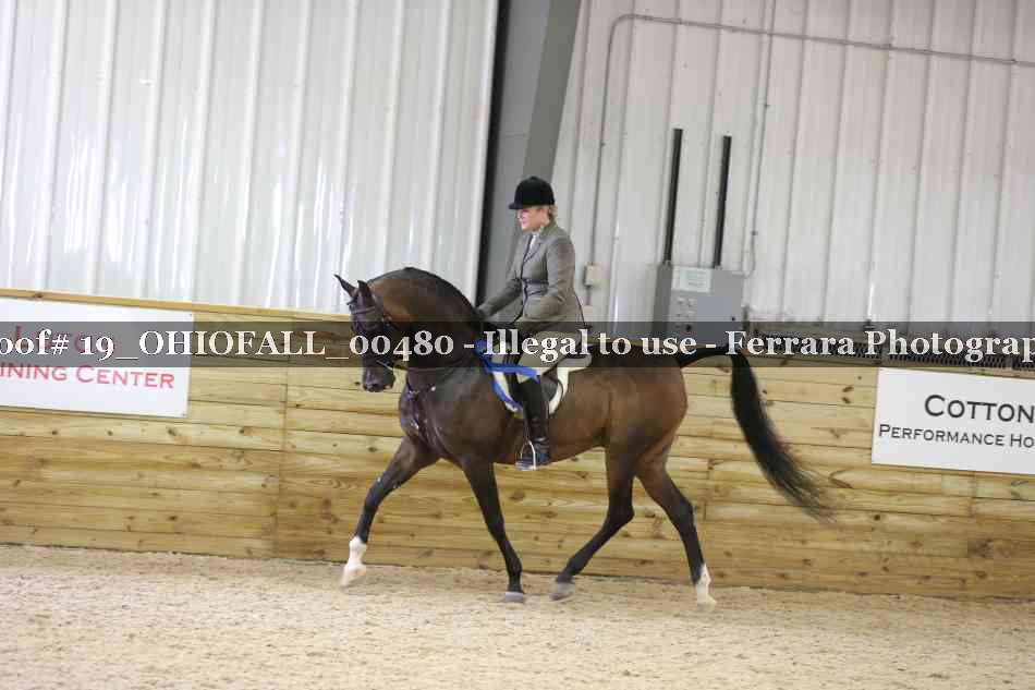 Proof 19_OHIOFALL_00480