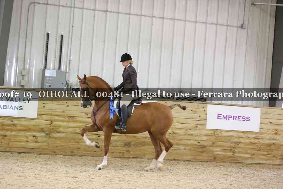 Proof 19_OHIOFALL_00481