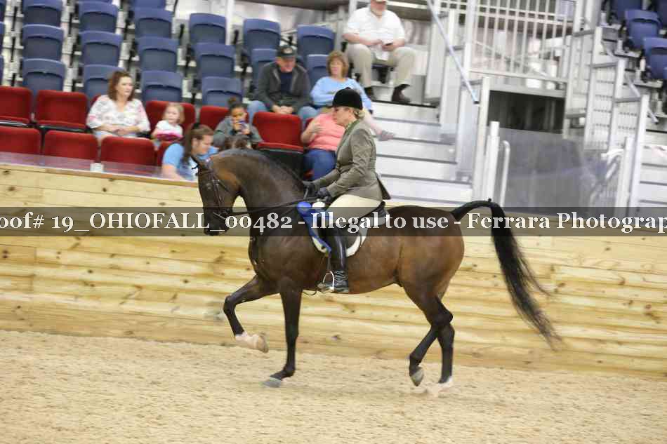 Proof 19_OHIOFALL_00482
