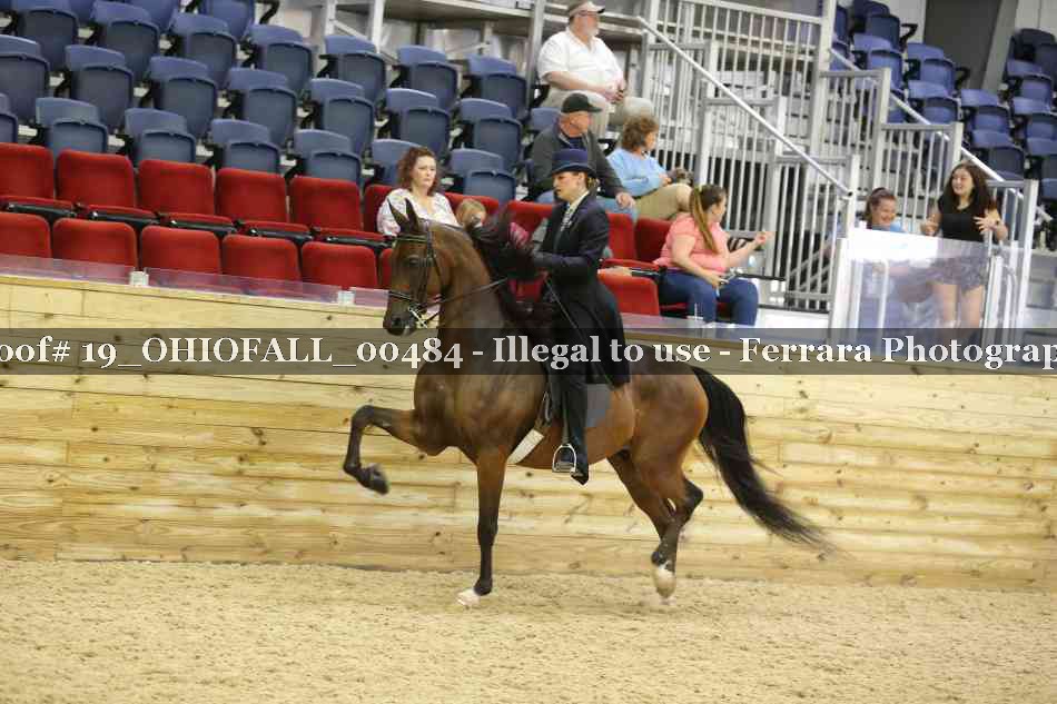 Proof 19_OHIOFALL_00484