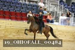 19_OHIOFALL_00484 proof