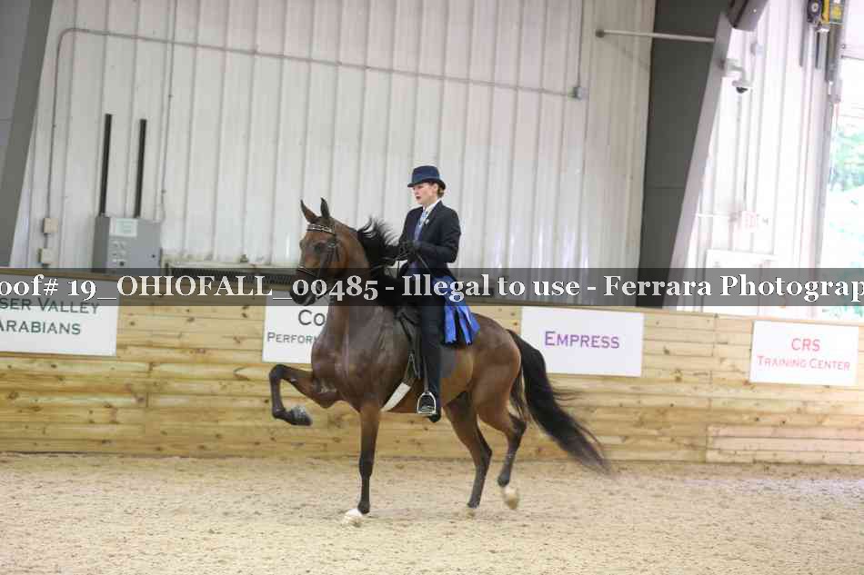 Proof 19_OHIOFALL_00485