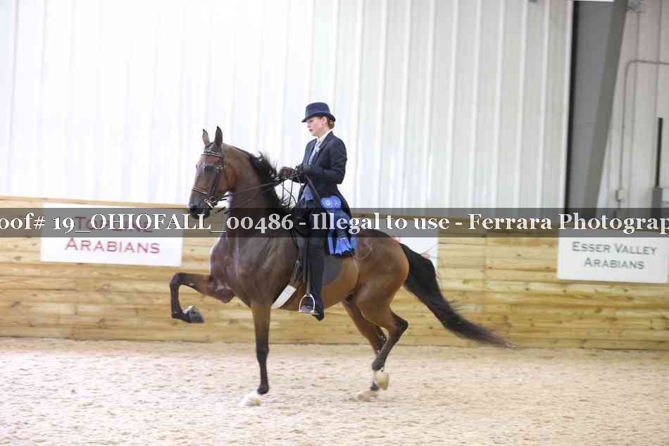 Proof 19_OHIOFALL_00486