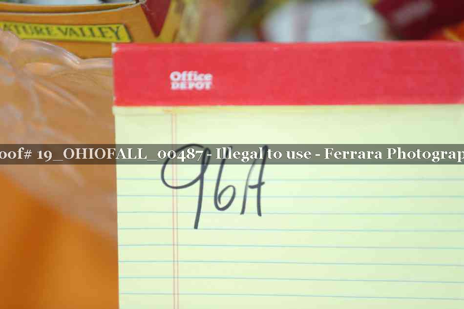 Proof 19_OHIOFALL_00487