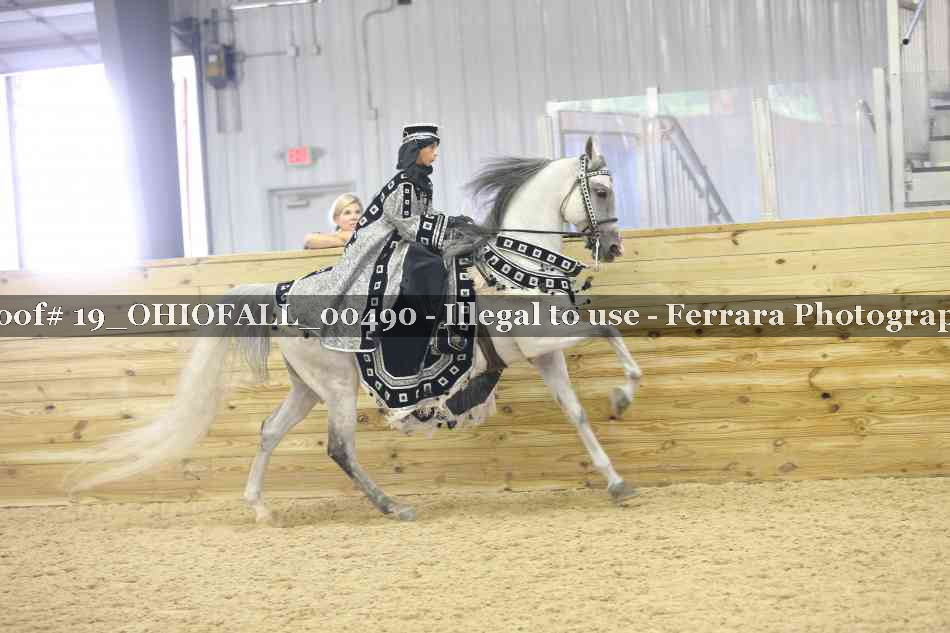 Proof 19_OHIOFALL_00490