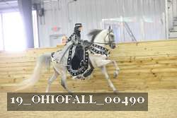 19_OHIOFALL_00490 proof