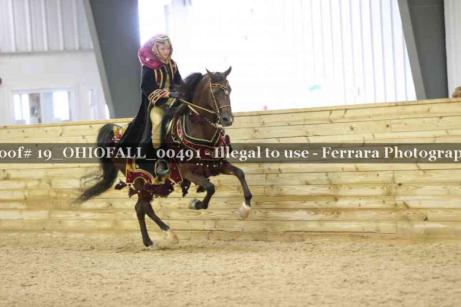Proof 19_OHIOFALL_00491