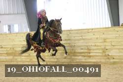 19_OHIOFALL_00491 proof