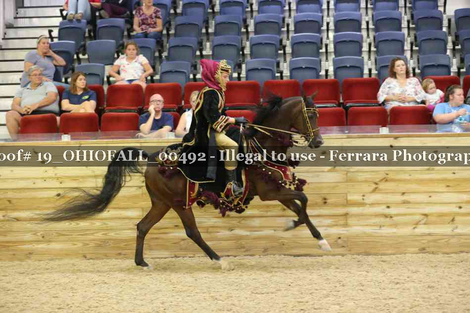 Proof 19_OHIOFALL_00492