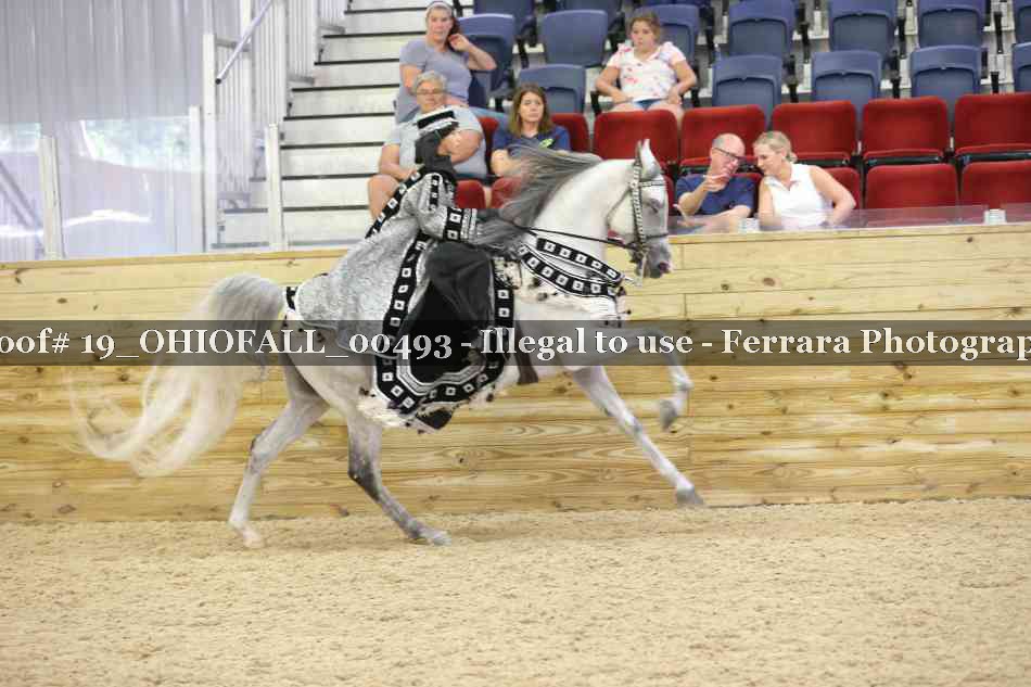 Proof 19_OHIOFALL_00493