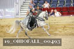 19_OHIOFALL_00493 proof