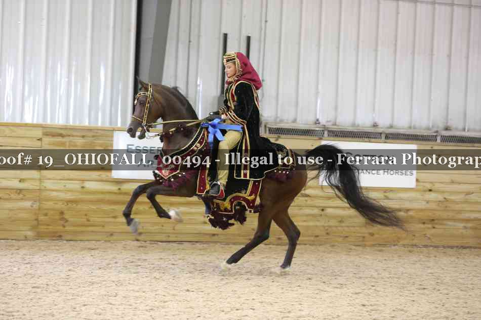Proof 19_OHIOFALL_00494