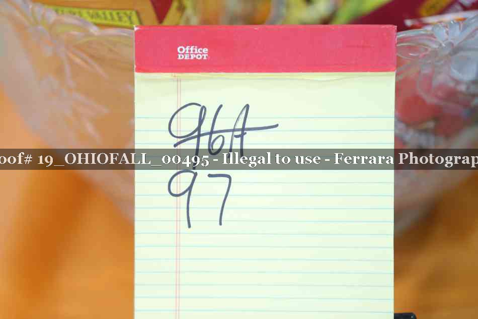Proof 19_OHIOFALL_00495