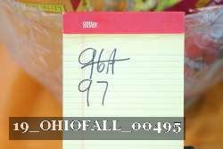 19_OHIOFALL_00495 proof