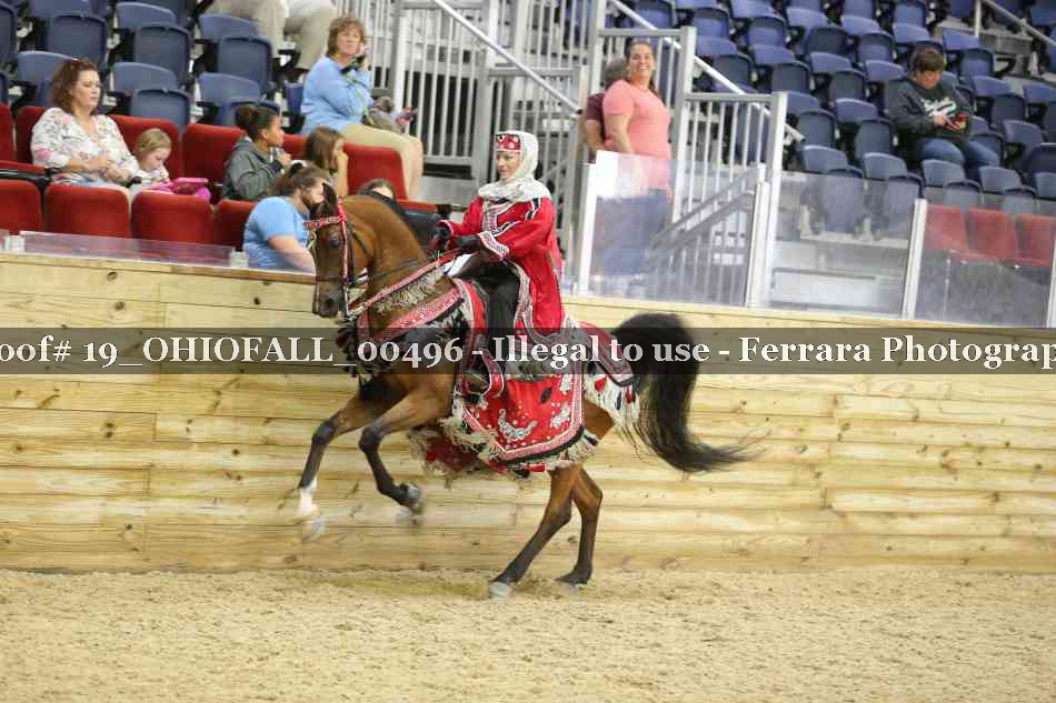 Proof 19_OHIOFALL_00496