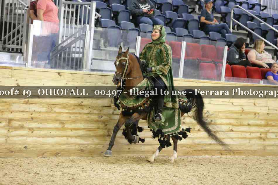Proof 19_OHIOFALL_00497